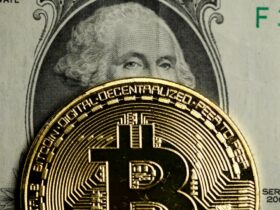 Why You Should Consider bitcoins As the Currency of the Future