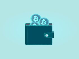 Popular Wallets to Use For Those Starting Off With Crypto